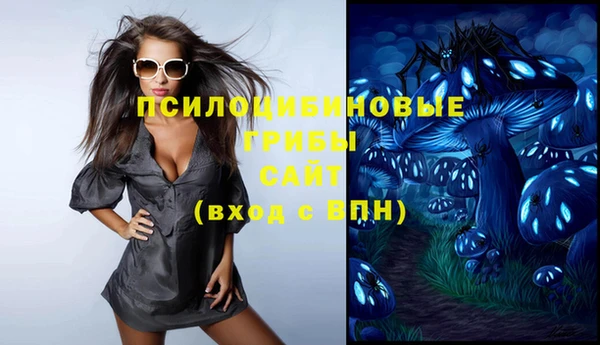 трава Абаза
