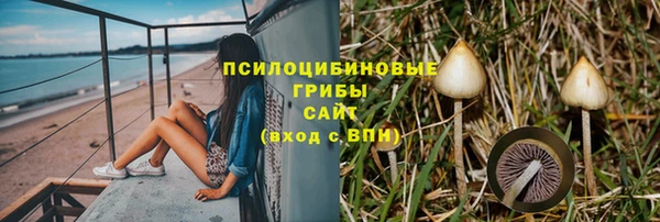 трава Абаза