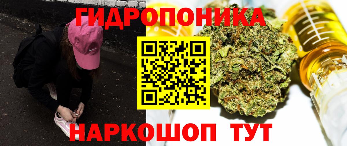 Бошки марихуана ГИДРОПОН  Конопля OG Kush  Вход с VPN  Сальск  Бошки Шишки THC 21% 